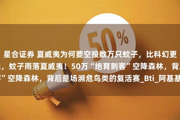 星合证券 夏威夷为何要空投数万只蚊子,比科幻更激进!封锁禽疟最后防线,蚊子雨落夏威夷!50万“绝育刺客”空降森林,背后是场濒危鸟类的复活赛_Bti_阿基基基_考艾岛