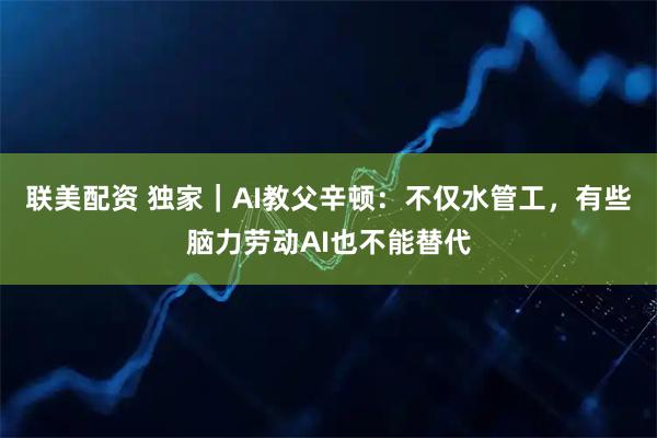 联美配资 独家｜AI教父辛顿：不仅水管工，有些脑力劳动AI也不能替代