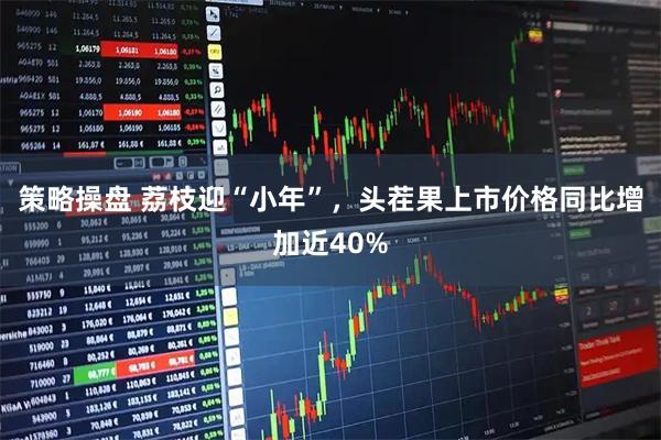 策略操盘 荔枝迎“小年”，头茬果上市价格同比增加近40%